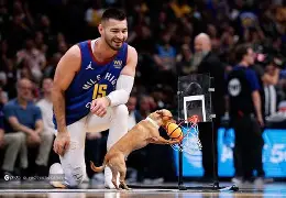 LOL-关于丹佛掘金发布备战花絮，今晨迎来里程碑，NBA季后赛任务艰巨，资深球员宣示担当的信息